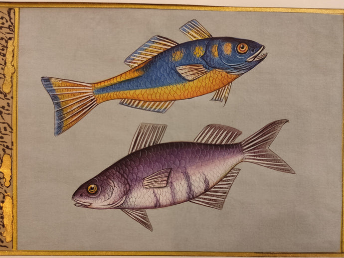 Fish painting Art Collection