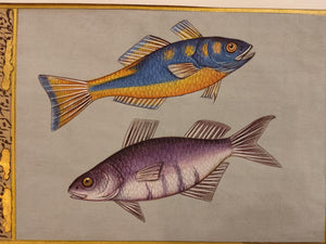 Fish Animal Miniature Painting India Art Nature Paper Aquatic Life - ArtUdaipur
