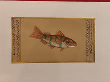 Load image into Gallery viewer, Fish Animal Miniature Painting India Art Nature on Paper Aquatic - ArtUdaipur
