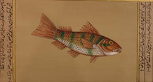 Load image into Gallery viewer, Fish Painting Artwork Aquatic Life
