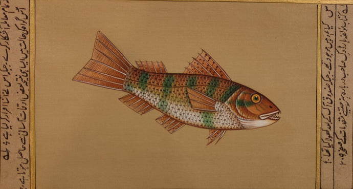 Fish Painting Artwork Aquatic Life