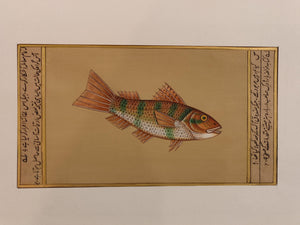 Fish Animal Miniature Painting India Art Nature on Paper Aquatic - ArtUdaipur