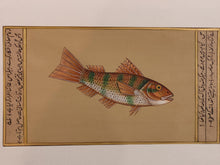 Load image into Gallery viewer, Fish Animal Miniature Painting India Art Nature on Paper Aquatic - ArtUdaipur
