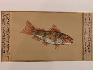 Fish Animal Miniature Painting India Art Nature on Paper Aquatic - ArtUdaipur