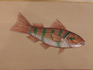 Fish Animal Miniature Painting India Art Nature on Paper Aquatic - ArtUdaipur