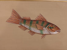 Load image into Gallery viewer, Fish Animal Miniature Painting India Art Nature on Paper Aquatic - ArtUdaipur

