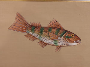 Fish Animal Miniature Painting India Art Nature on Paper Aquatic - ArtUdaipur