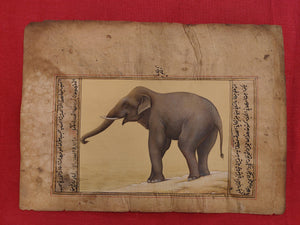 Hand Painted Elephant Animal Miniature Painting India Art Nature Paper WildLife - ArtUdaipur