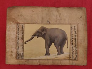 Hand Painted Elephant Animal Miniature Painting India Art Nature Paper WildLife - ArtUdaipur