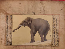 Load image into Gallery viewer, Hand Painted Elephant Animal Miniature Painting India Art Nature Paper WildLife - ArtUdaipur

