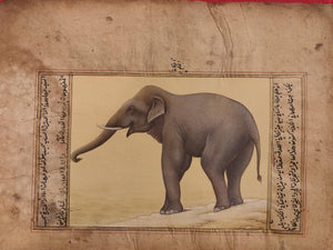 Hand Painted Elephant Animal Miniature Painting India Art Nature Paper WildLife - ArtUdaipur