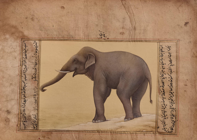 Elephant Old Paper Painting Artwork