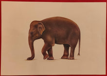 Load image into Gallery viewer, Hand Painted Elephant Animal Miniature Painting India Art Nature Paper WildLife - ArtUdaipur
