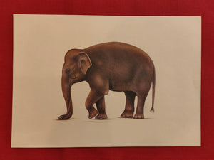 Hand Painted Elephant Animal Miniature Painting India Art Nature Paper WildLife - ArtUdaipur