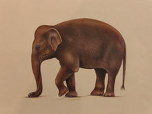 Load image into Gallery viewer, Hand Painted Elephant Animal Miniature Painting India Art Nature Paper WildLife - ArtUdaipur
