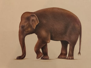 Elephant Art Collection Paper Home Decor