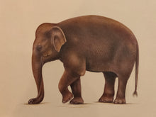 Load image into Gallery viewer, Hand Painted Elephant Animal Miniature Painting India Art Nature Paper WildLife - ArtUdaipur
