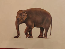 Load image into Gallery viewer, Hand Painted Elephant Animal Miniature Painting India Art Nature Paper WildLife - ArtUdaipur
