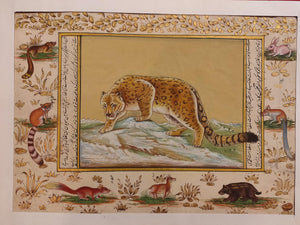 Hand Painted Leopard Animal Miniature Painting India Art on Rice Paper WildLife - ArtUdaipur