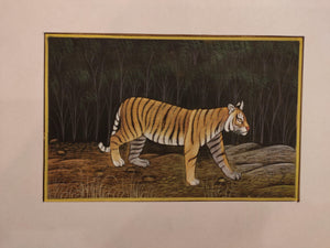 Hand Painted Tiger Animal Miniature Painting India Art Nature Paper WildLife - ArtUdaipur