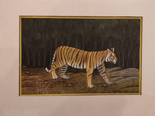 Load image into Gallery viewer, Hand Painted Tiger Animal Miniature Painting India Art Nature Paper WildLife - ArtUdaipur
