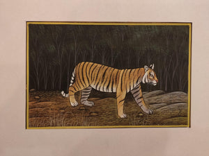 Hand Painted Tiger Animal Miniature Painting India Art Nature Paper WildLife - ArtUdaipur