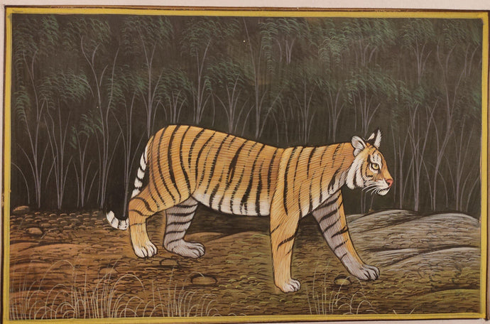 Tiger Animal Painting Art Collection