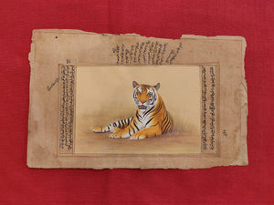 Hand Painted Tiger Animal Miniature Painting India Art Nature on Old Paper - ArtUdaipur