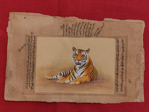 Hand Painted Tiger Animal Miniature Painting India Art Nature on Old Paper - ArtUdaipur