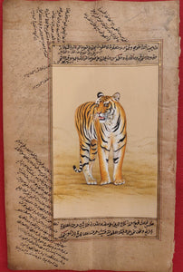 Tiger Animal Painting Art Collection