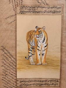 Hand Painted Tiger Animal Miniature Painting India Art WildLife on Old Paper - ArtUdaipur