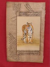 Load image into Gallery viewer, Hand Painted Tiger Animal Miniature Painting India Art WildLife on Old Paper - ArtUdaipur
