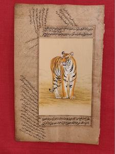 Hand Painted Tiger Animal Miniature Painting India Art WildLife on Old Paper - ArtUdaipur