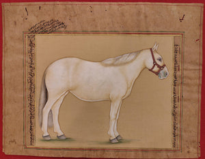Horse Paper Painting Indian Artwork
