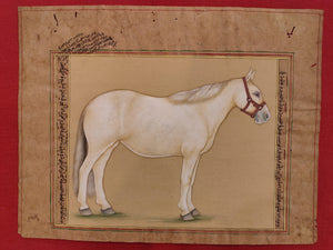 Hand Painted Horse Power Animal Miniature Painting India Art Nature on Paper - ArtUdaipur