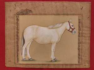 Hand Painted Horse Power Animal Miniature Painting India Art Nature on Paper - ArtUdaipur