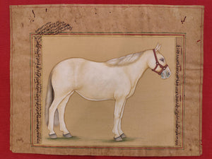 Hand Painted Horse Power Animal Miniature Painting India Art Nature on Paper - ArtUdaipur