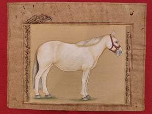 Hand Painted Horse Power Animal Miniature Painting India Art Nature on Paper - ArtUdaipur