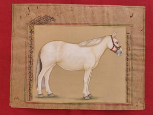 Hand Painted Horse Power Animal Miniature Painting India Art Nature on Paper - ArtUdaipur