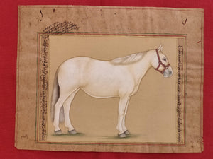 Hand Painted Horse Power Animal Miniature Painting India Art Nature on Paper - ArtUdaipur
