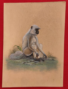 Hand Painted Monkey Langur Animal Miniature Painting India Art Nature on Paper - ArtUdaipur