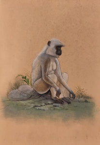 Monkey Painting Artwork Paper