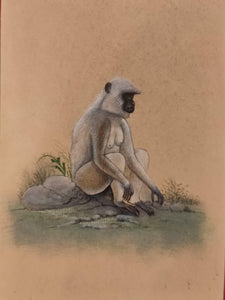 Hand Painted Monkey Langur Animal Miniature Painting India Art Nature on Paper - ArtUdaipur