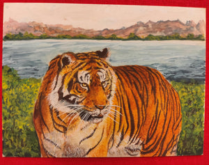 Hand Painted Tiger Animal Miniature Painting India Art Nature on Synthetic Ivory - ArtUdaipur