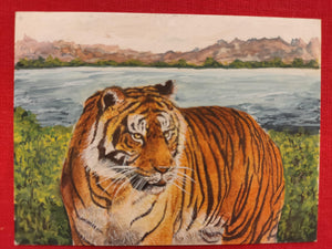Hand Painted Tiger Animal Miniature Painting India Art Nature on Synthetic Ivory - ArtUdaipur