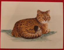 Load image into Gallery viewer, Hand Painted Cat Animal Miniature Painting India Art on Synthetic Ivory Faux - ArtUdaipur
