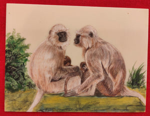 Hand Painted Langur Monkey Animal Miniature Painting India Art WildLife - ArtUdaipur