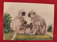 Load image into Gallery viewer, Hand Painted Langur Monkey Animal Miniature Painting India Art WildLife - ArtUdaipur
