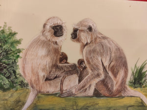 Hand Painted Langur Monkey Animal Miniature Painting India Art WildLife - ArtUdaipur