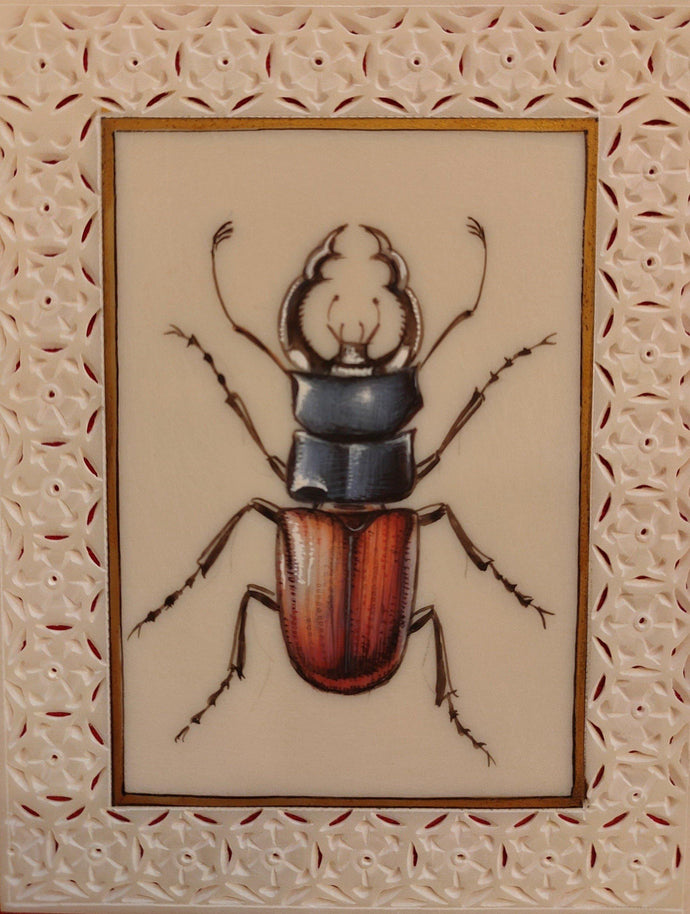 Insect Painting Artwork Modern
